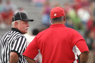 开云体育在线入口-意甲裁判语义分析辅助判罚准确性的应用探讨,意甲 裁判